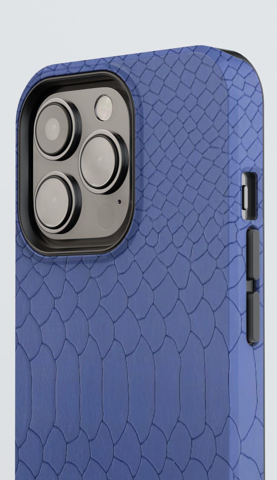 MEFY | Midnight Croc