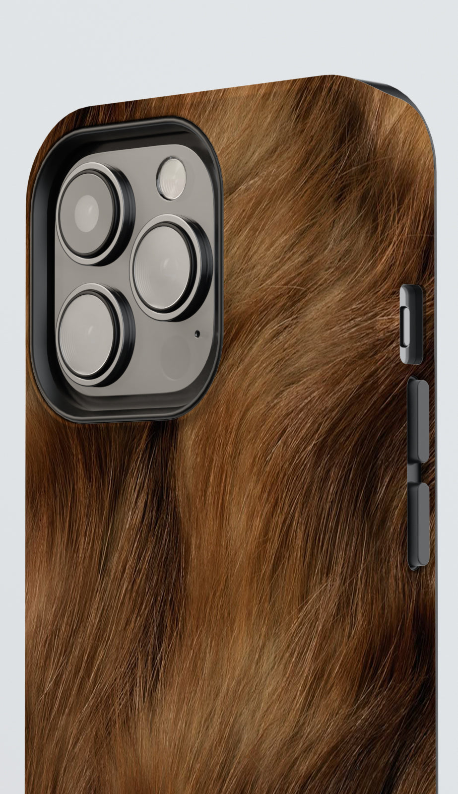 MEFY | Golden Gallop