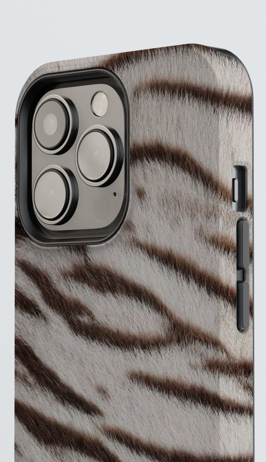 MEFY | Striped Majesty