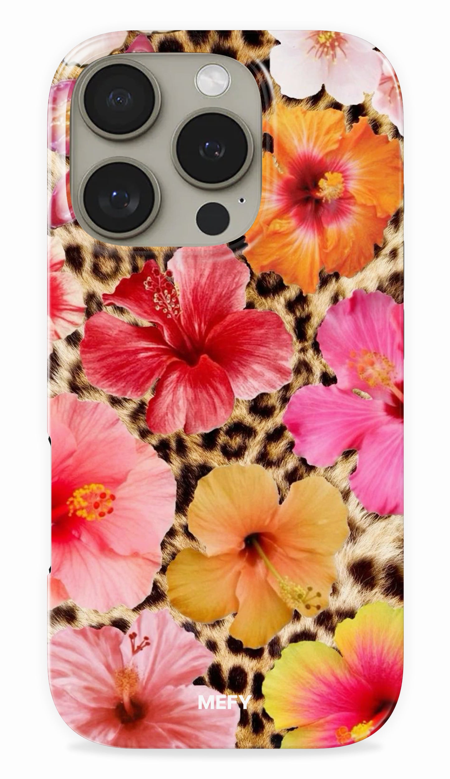 MEFY | Exotic Kitty
