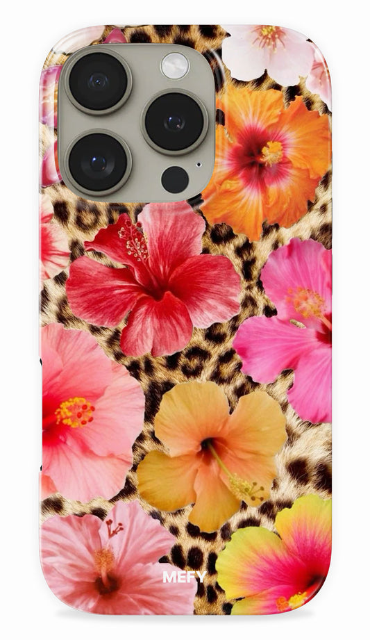 MEFY | Exotic Kitty